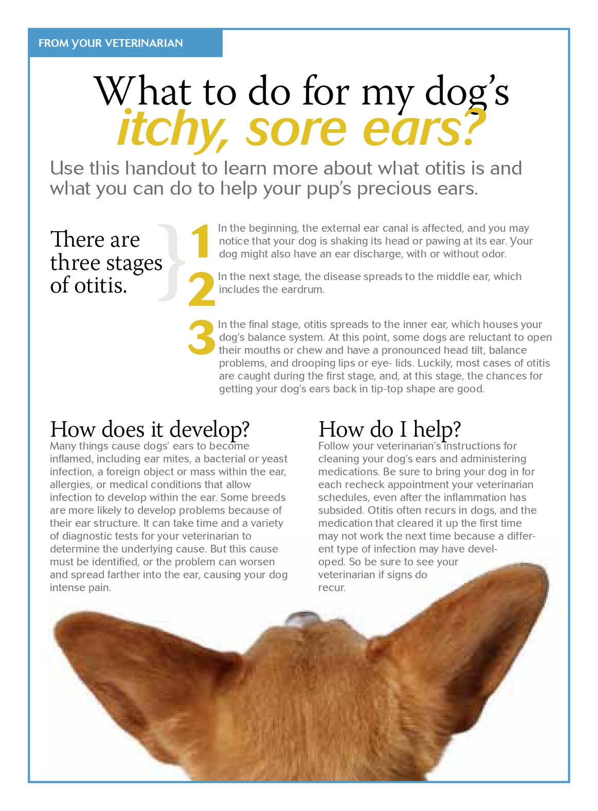 ear_infections handout_page-0001